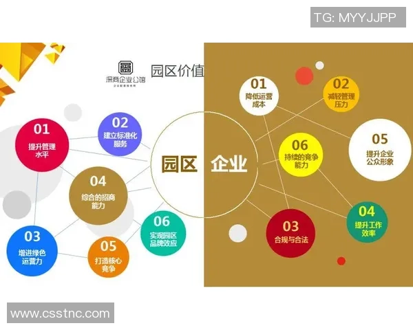 广州网球队运营分析：成功经验与面临挑战的深度探讨