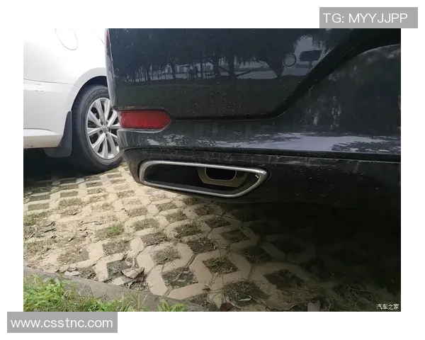 武汉攀岩队的团队协作与攀岩技巧提升的深度探讨与分享